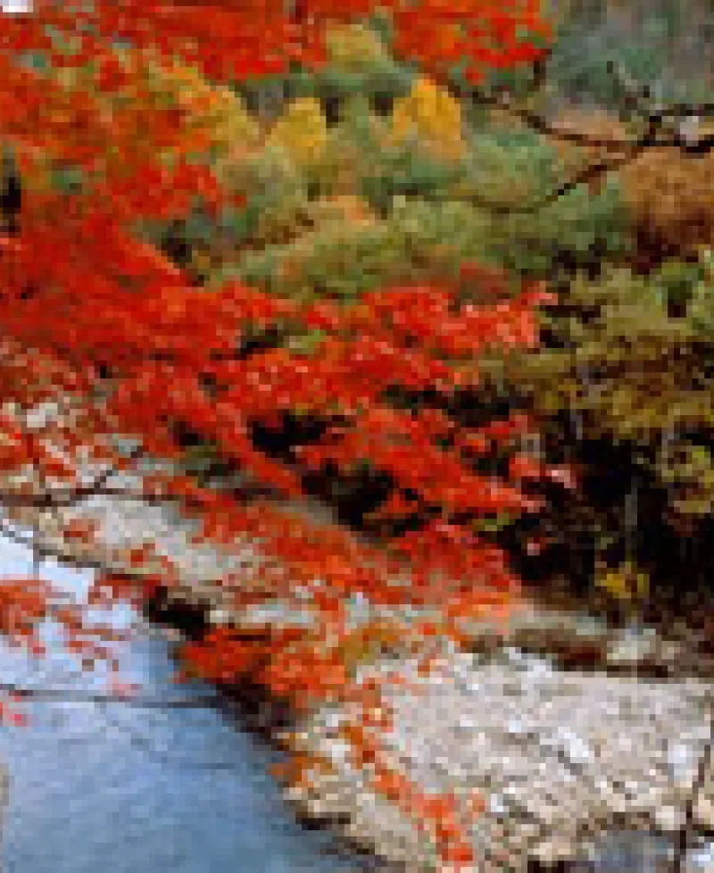 River Photo Photo