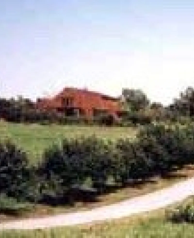 Butterfly Fields Photo