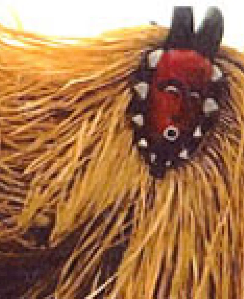 African Costume Photo