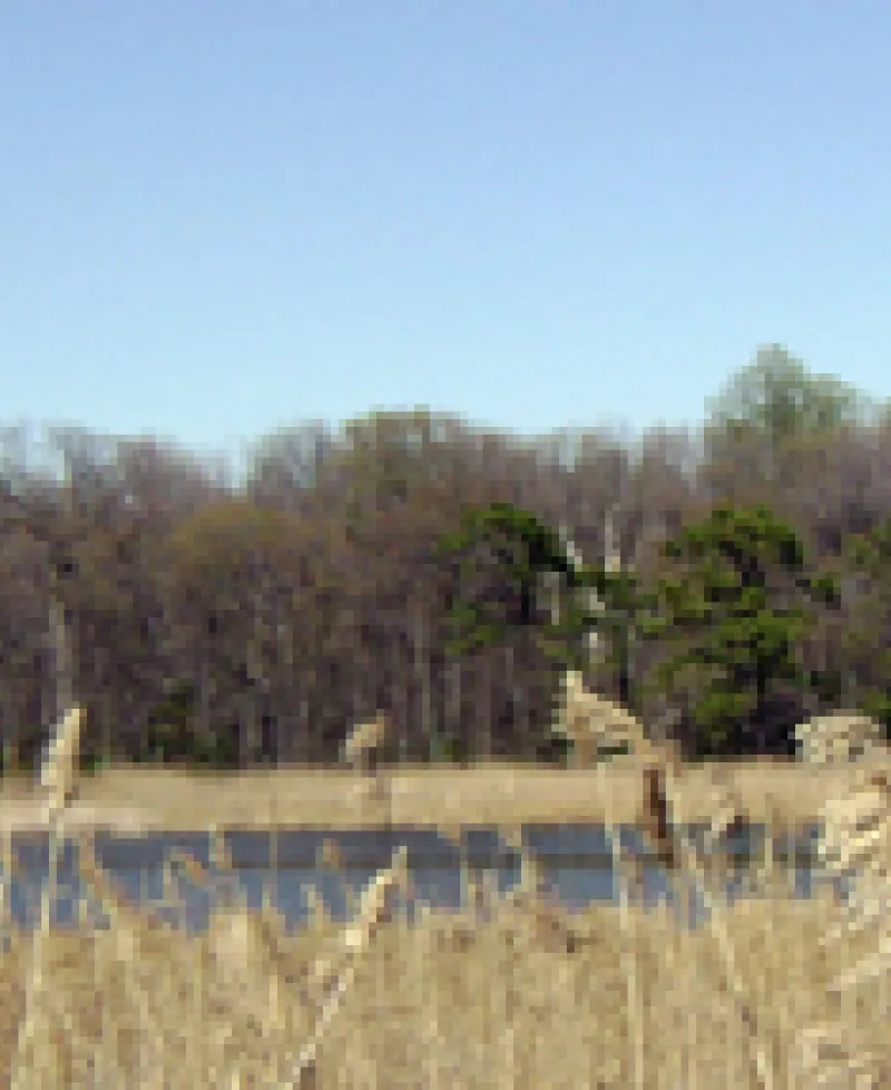 North Point State Park Photo