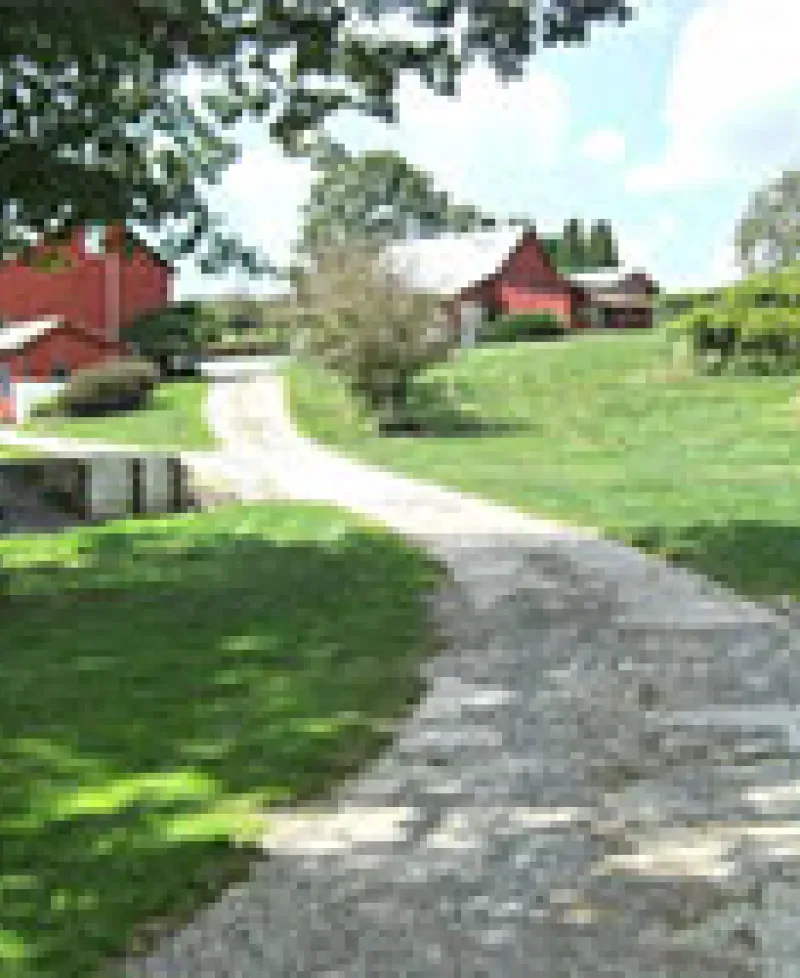 Galloping Goose Vineyards Photo