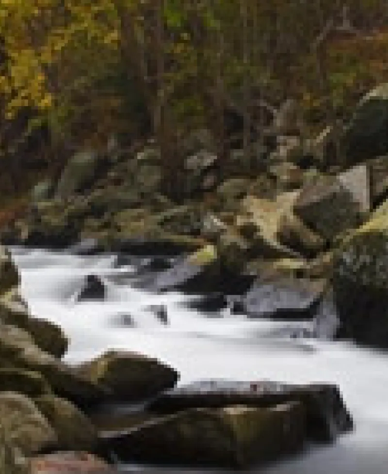 Stream at Rocks State Park Photo
