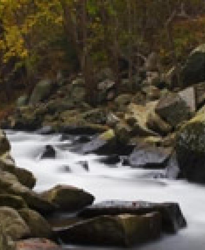 Stream at Rocks State Park Photo