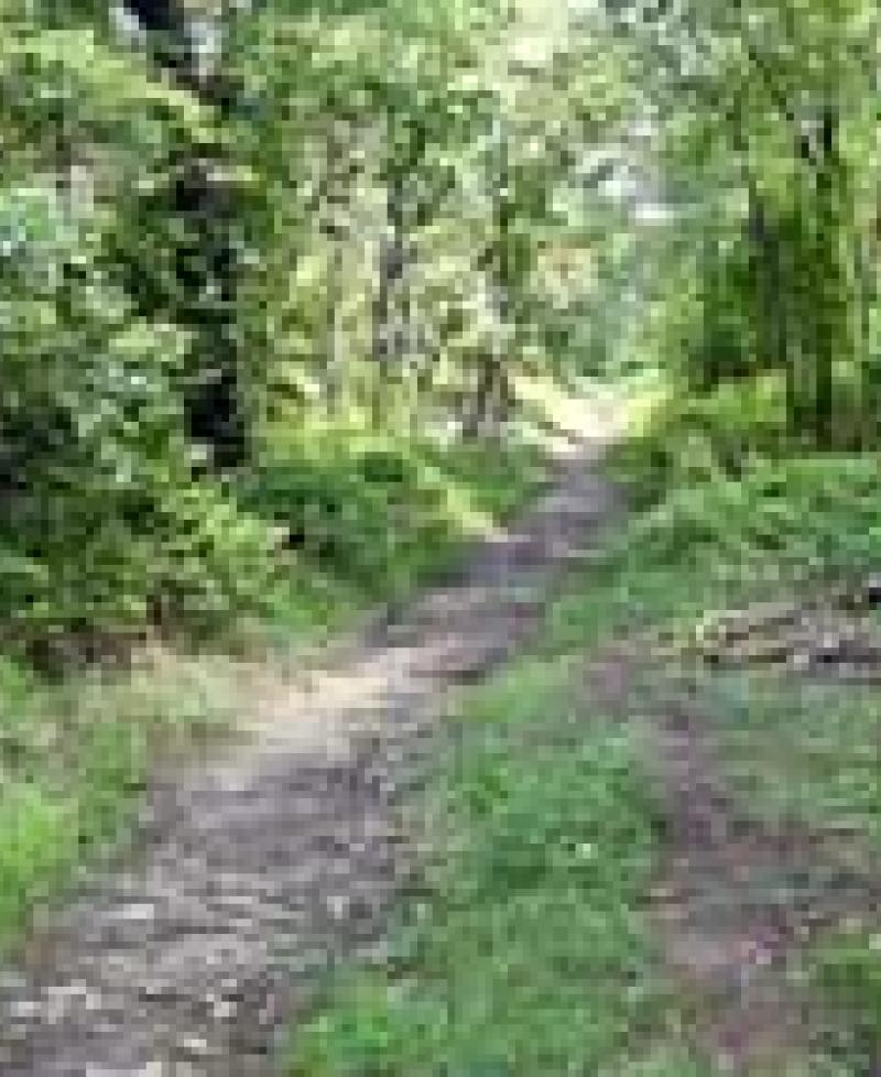 Soldiers Delight Natural Environnmental Area Photo