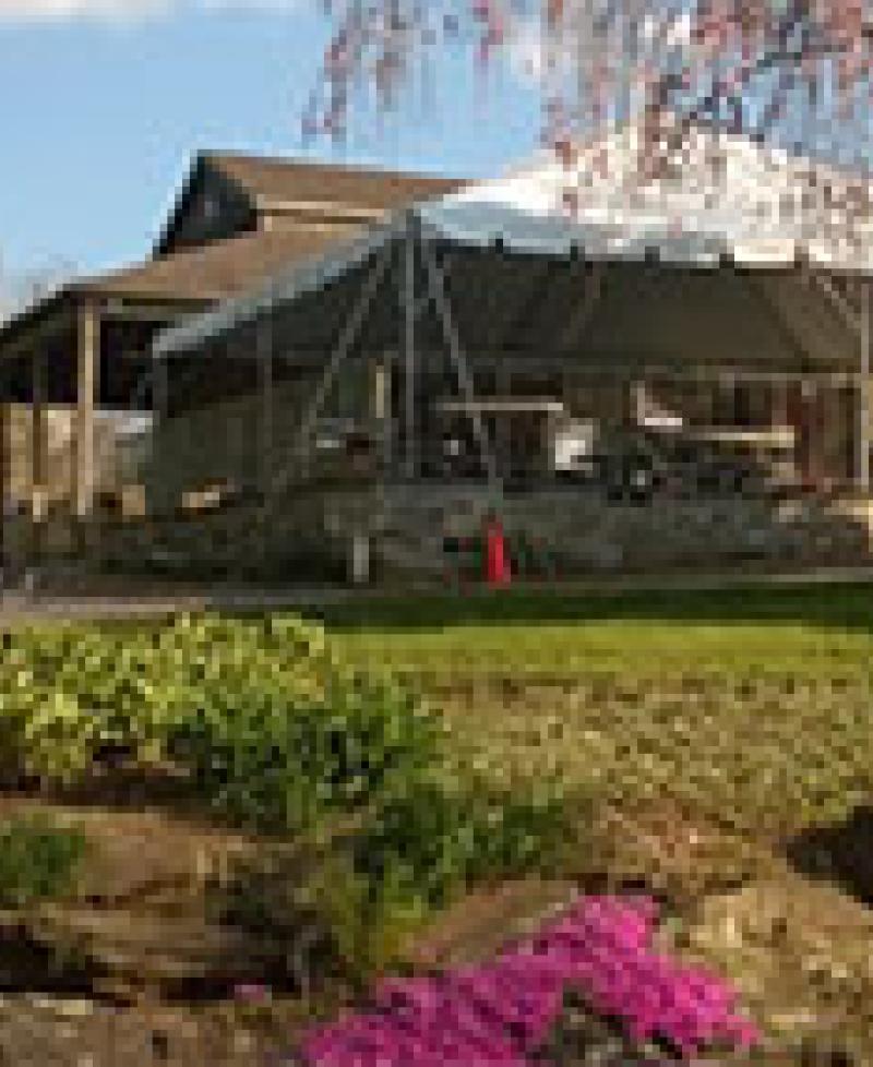 Basignani Winery Photo
