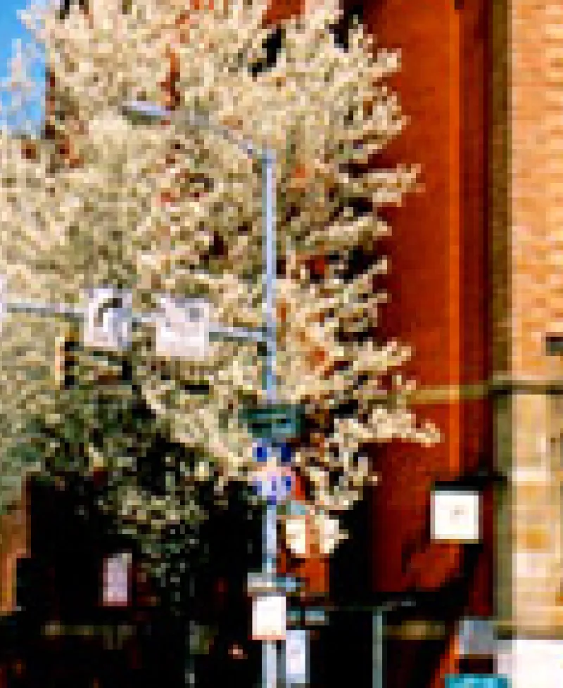 Biddle Street Inn Photo