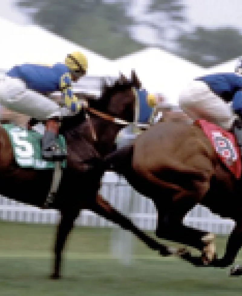 Horses racing Photo