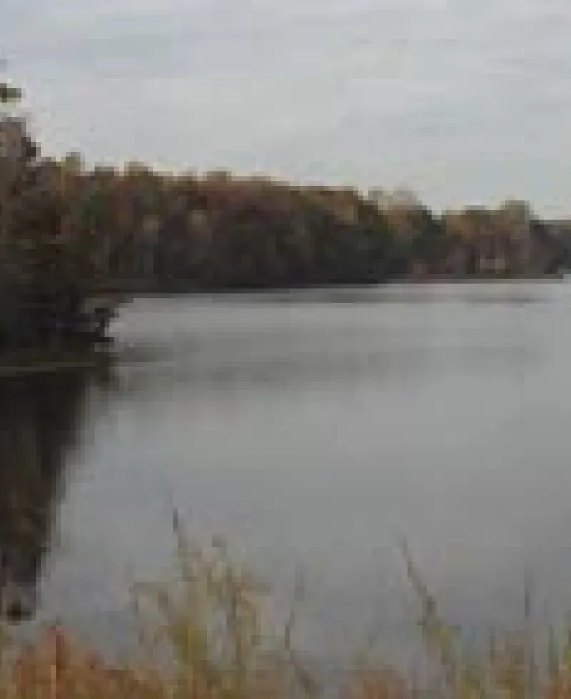 St. Mary's River State Park Photo