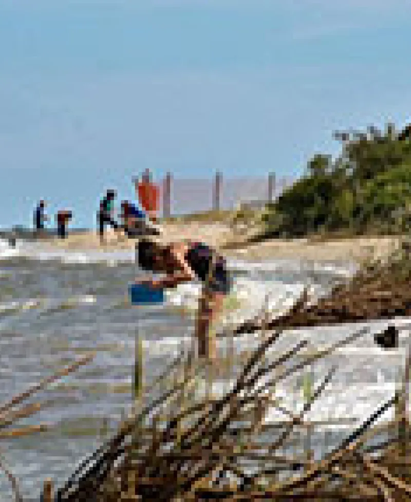 Beach at Flag Ponds Park Photo