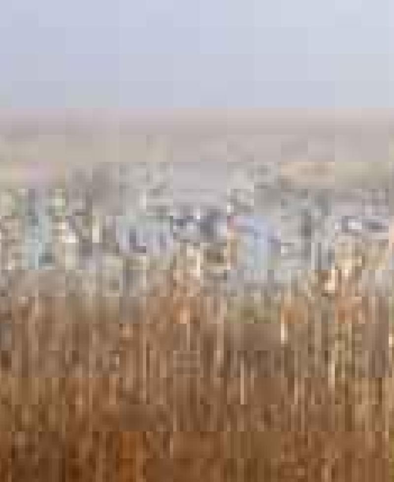 Pickering Creek Audubon Center Photo