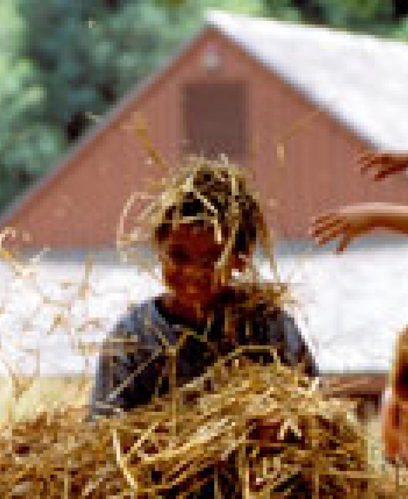 Children in playing in hay Photo