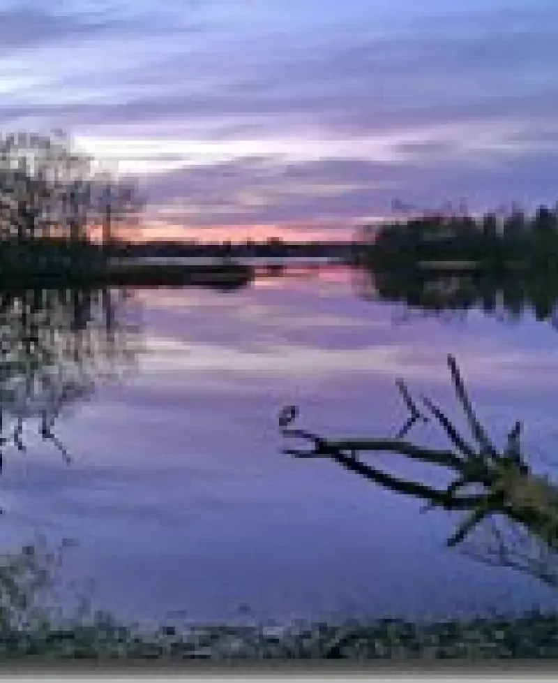 Wye Island-winter Photo