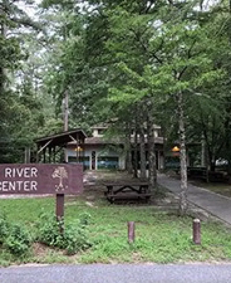 Pocomoke River State Forest Photo