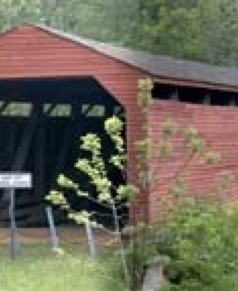 Gilpin's Falls Covered Bridge Photo