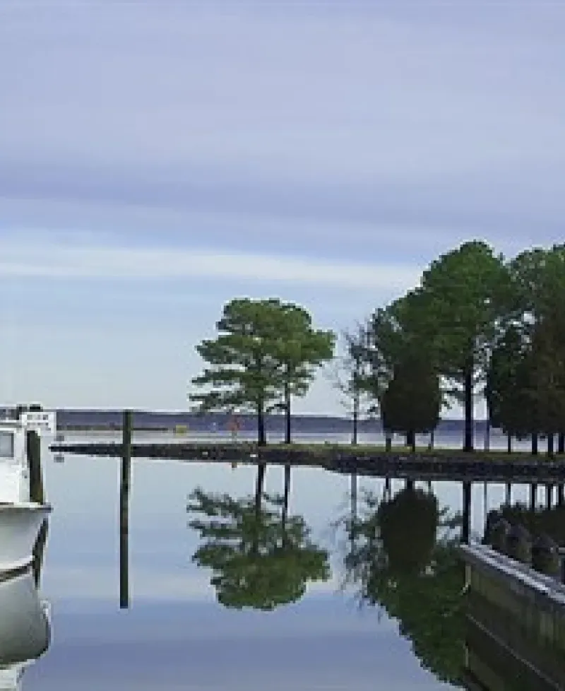 Madison Bay Campground, Marina &amp; Restaurant Photo