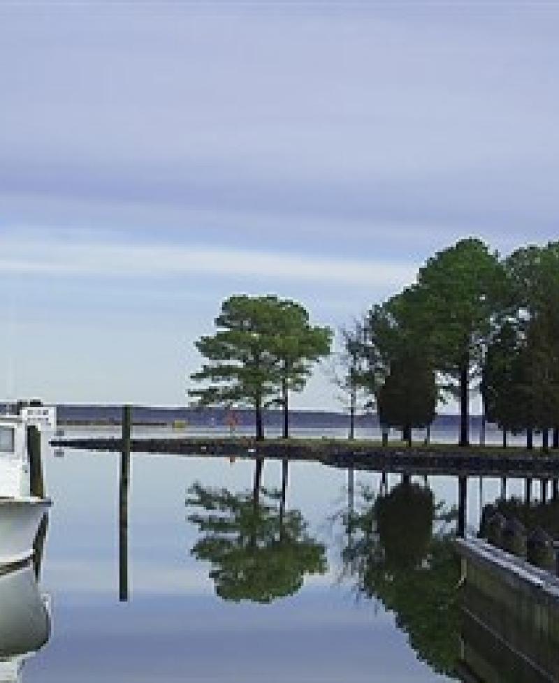 Madison Bay Campground, Marina &amp; Restaurant Photo