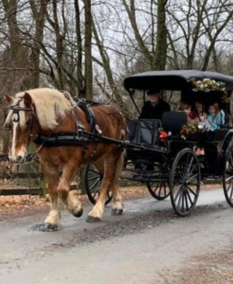 Fairwinds Farm and Stables-Carriage Ride Photo