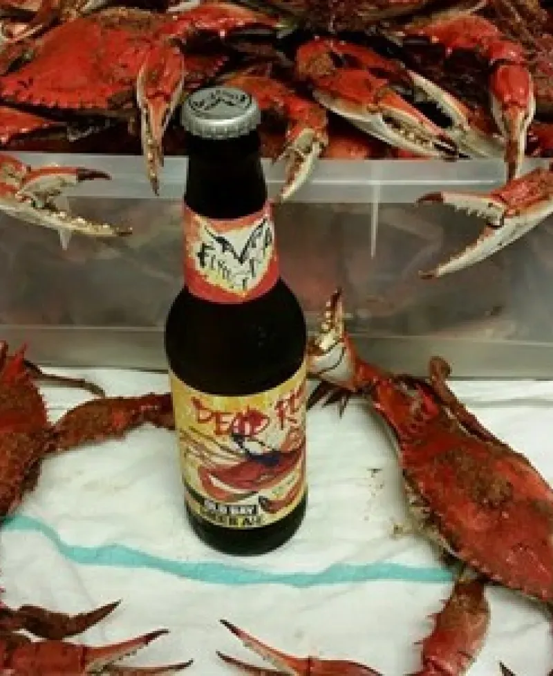 Crabs and beer Photo