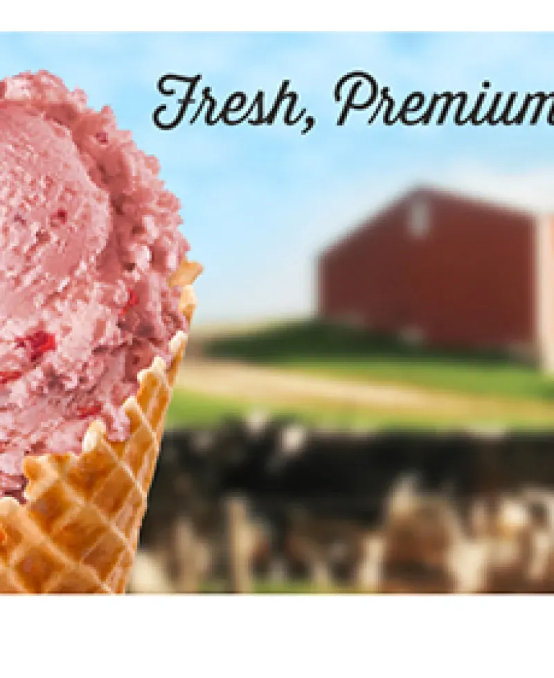 Bruster's Real Ice Cream-Havre de Grace Photo