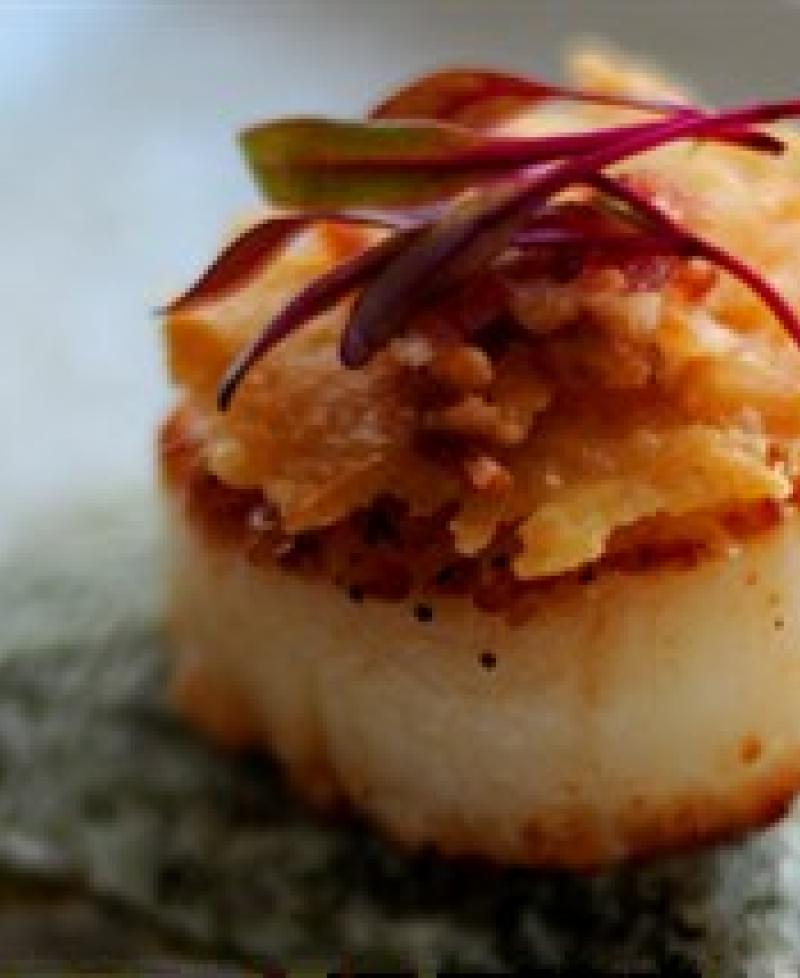 Scallop Photo