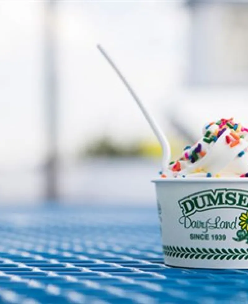 Dumser's ice cream Photo