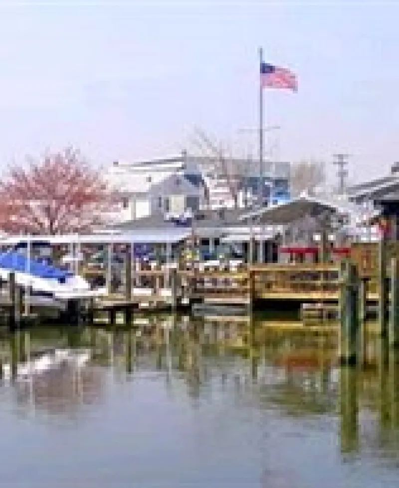 Hard Yacht Café exterior view Photo
