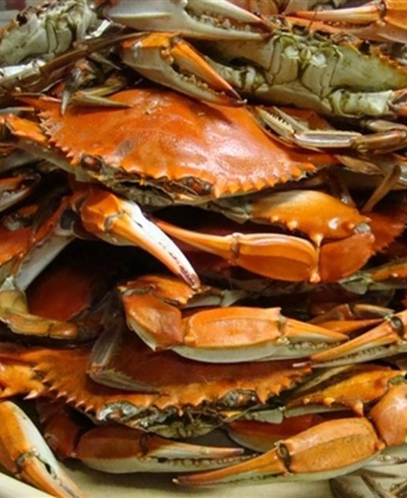 Crabs at Linton's Seafood Photo