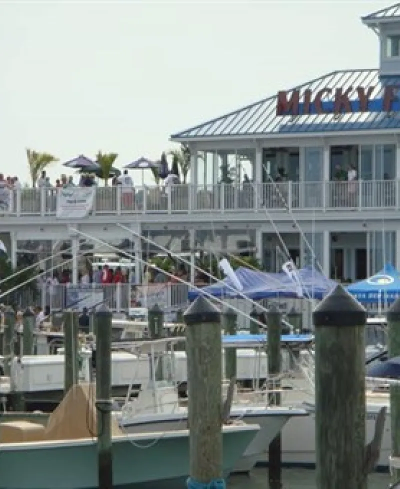 Micky Fins exterior view Photo