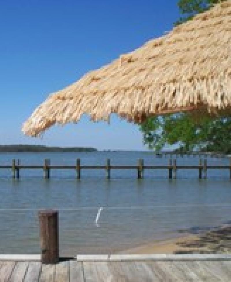 Palm Beach Willie's Restaurant, Bar &amp; Grill Photo