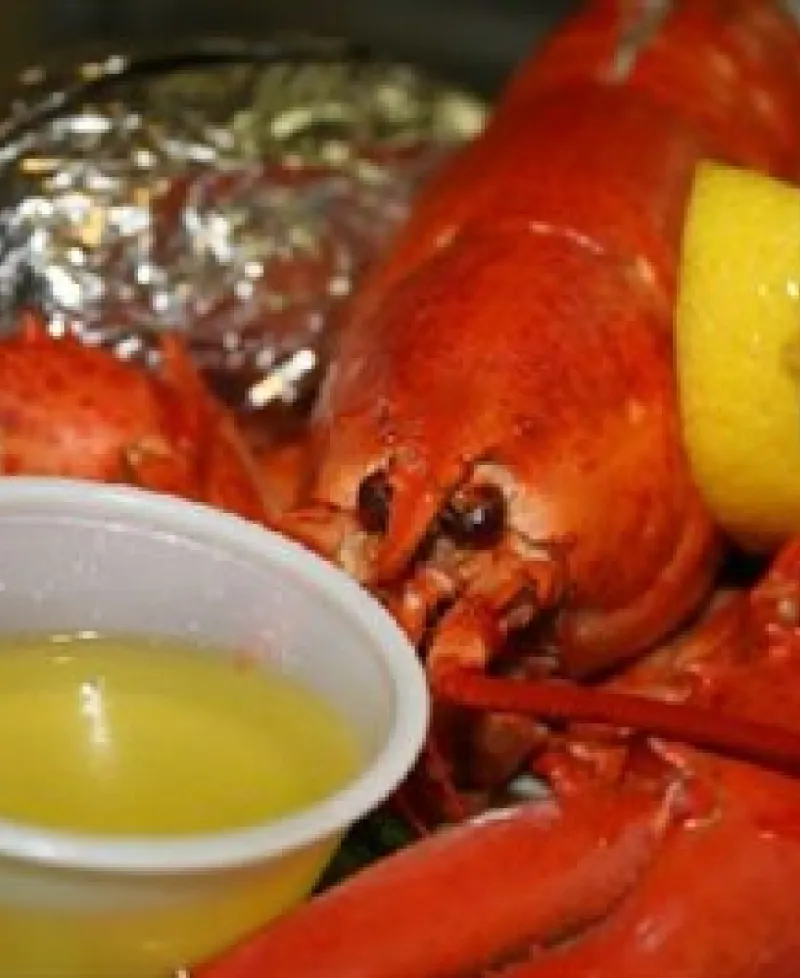 Lobster Photo
