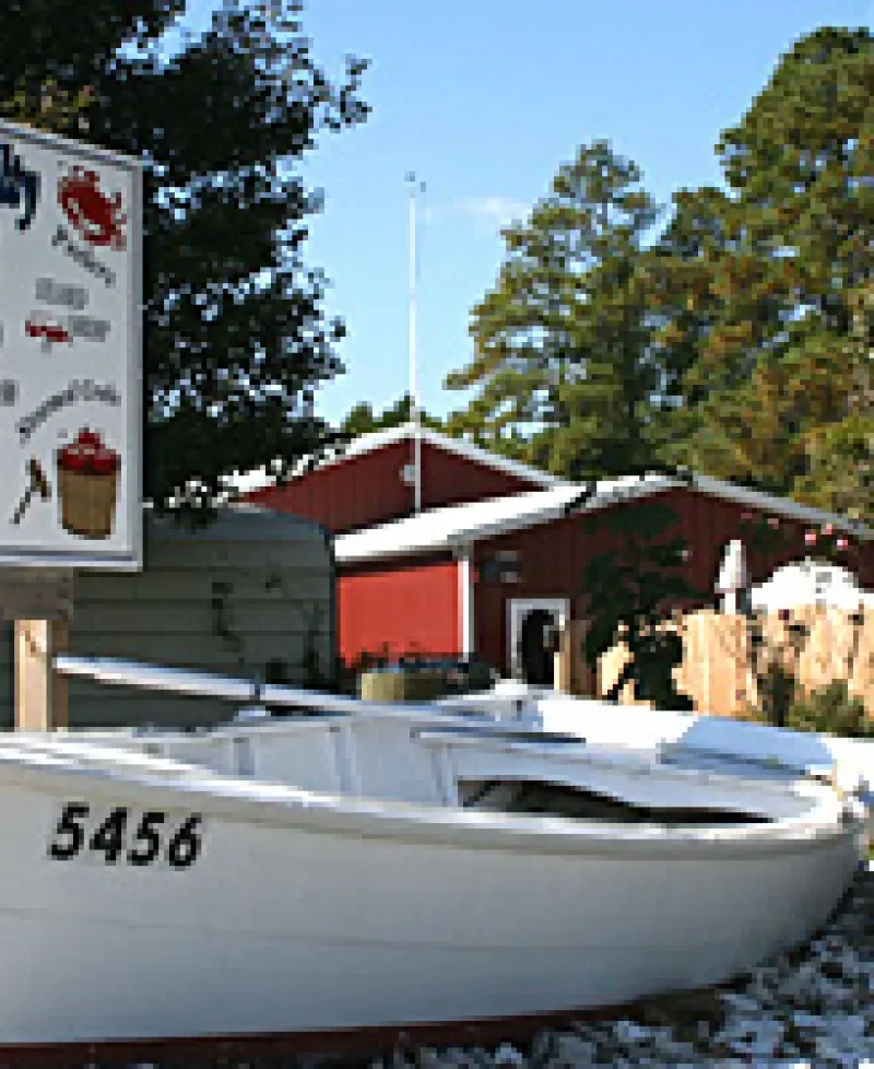 Soft &amp; Salty Seafood Photo