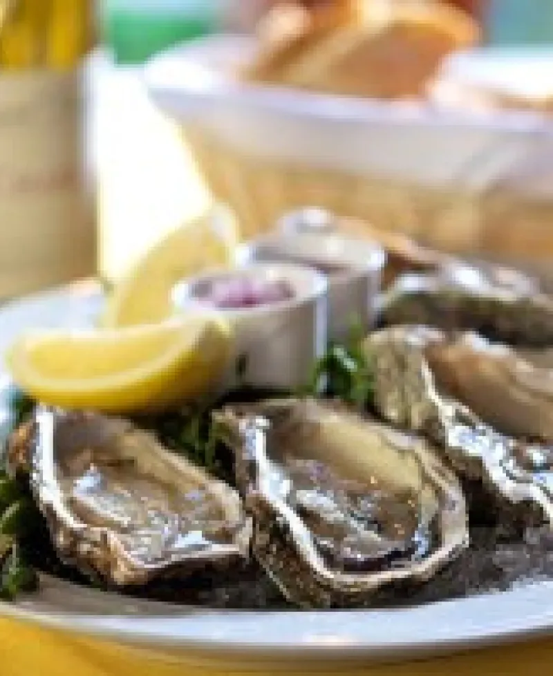 Oysters platter Photo