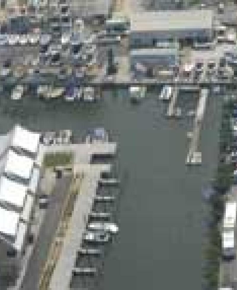 Aerial of Marina Photo