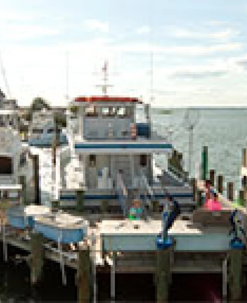 Bahia Marina Photo