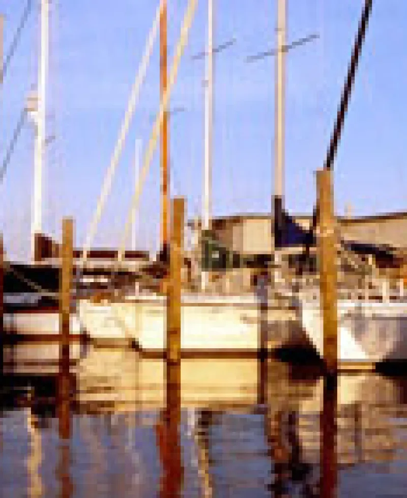 Boats docked Photo