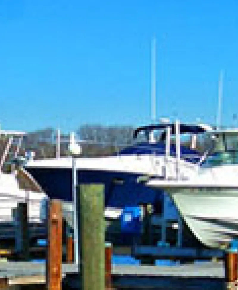 Boats at Blackstone Marina Photo