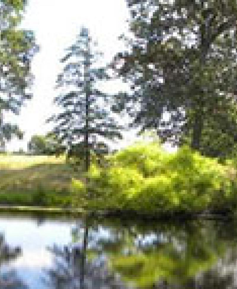 Pond at Breton Bay Golf Club Photo