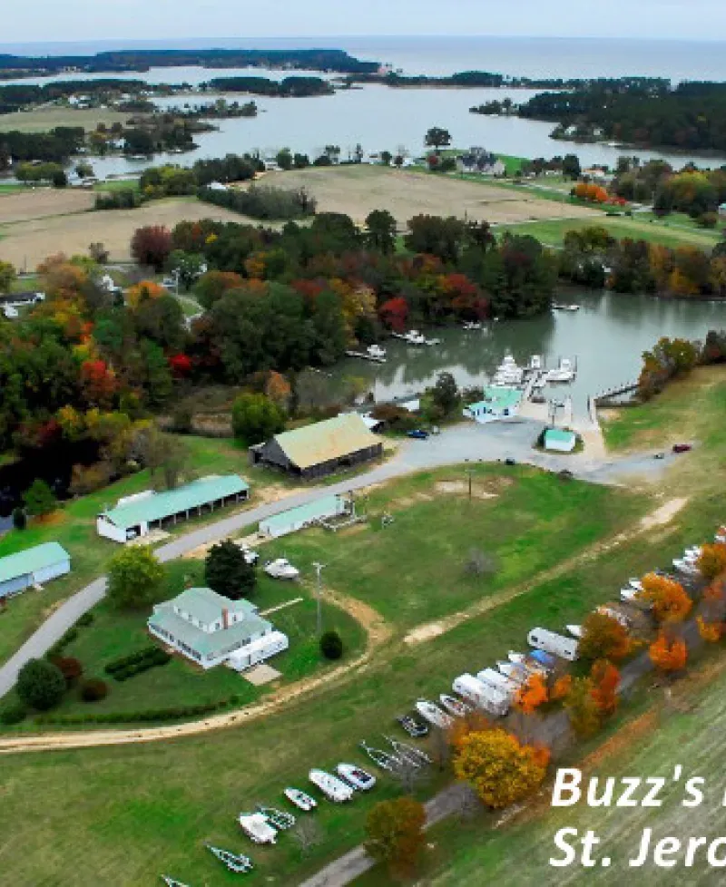 Buzz's Marina aerial view Photo