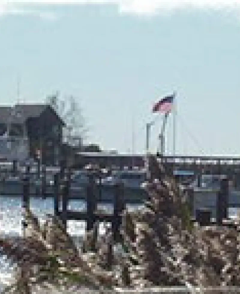 Flag at Deal Island Photo