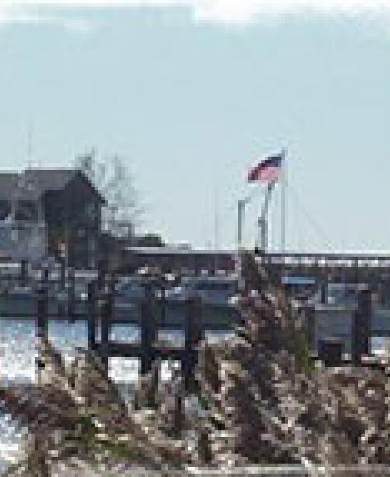 Flag at Deal Island Photo