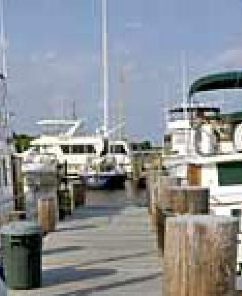 Marina photo Photo