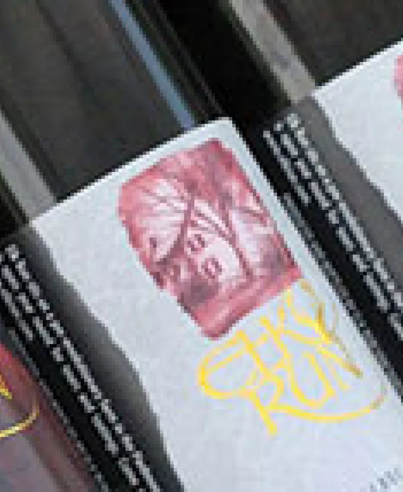 Vineyard at Elk Run Photo