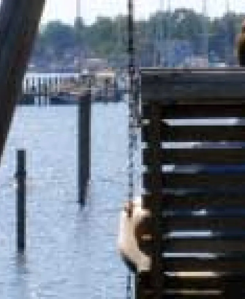 Fairview Marina Photo