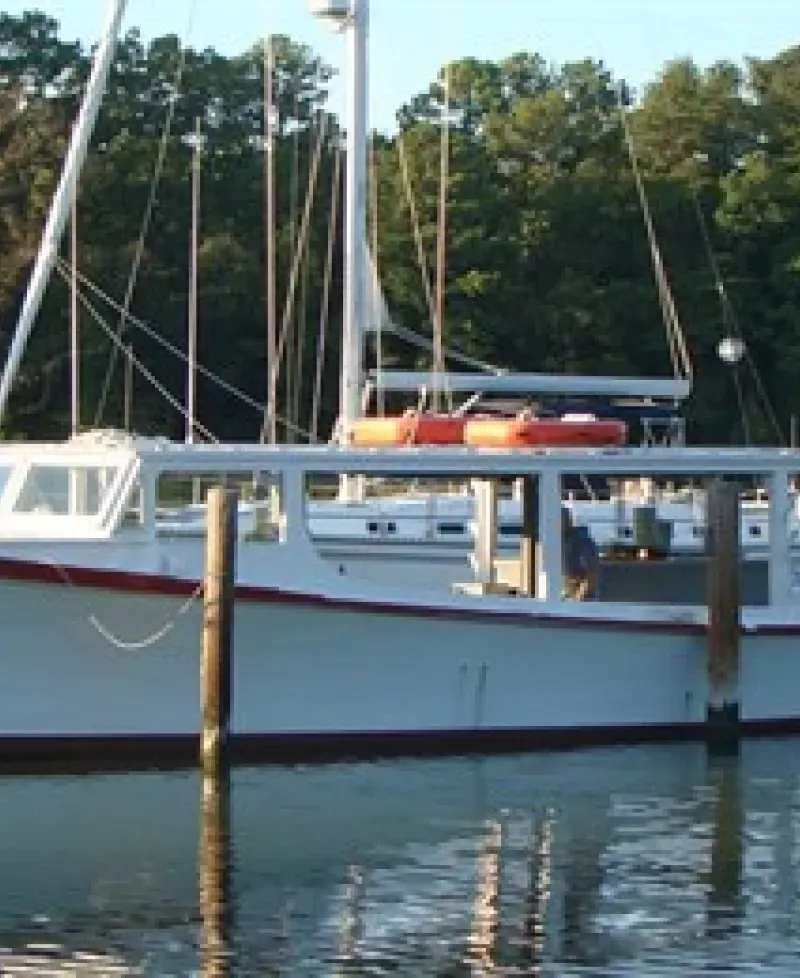 Picture of Lisa S from the Fish the Bay Charters Photo