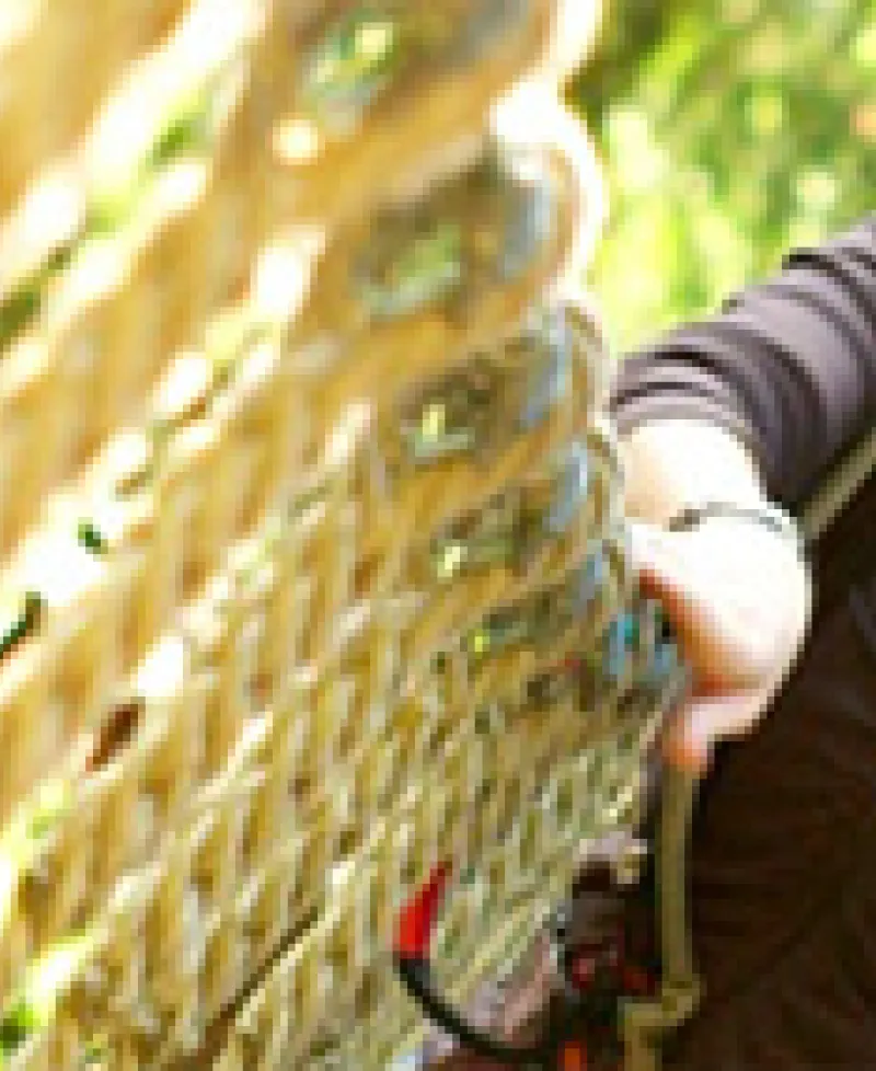 Go Ape Treetop Adventure Photo