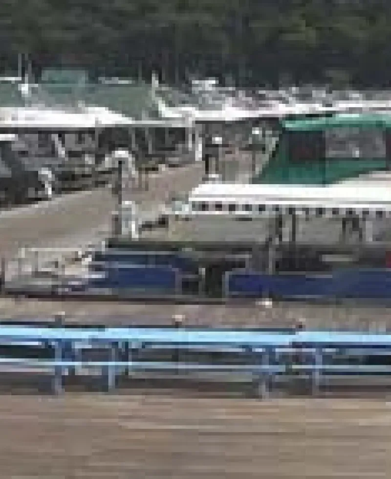 Lees Marina Photo
