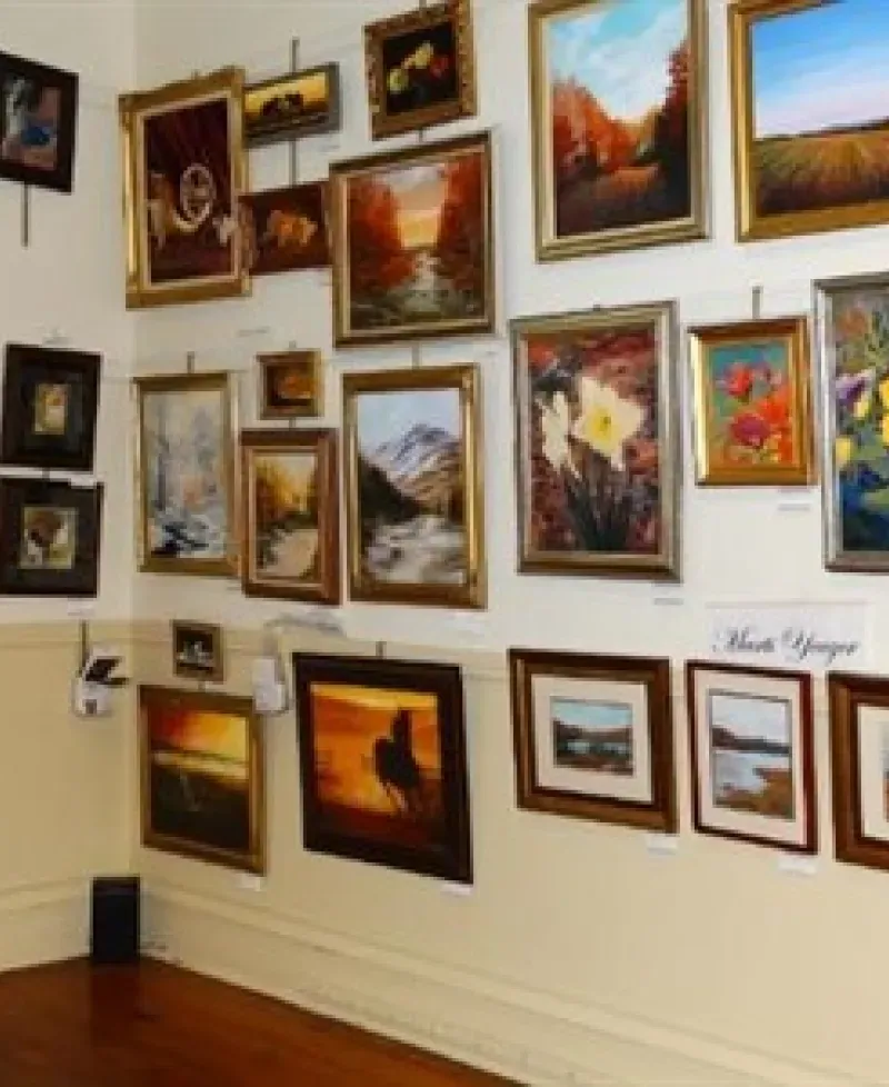 Art on display at the Mansion House Art Gallery Photo
