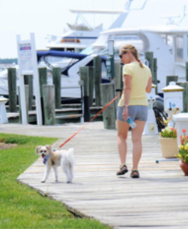woman walking dog at Mears Point Marina Photo