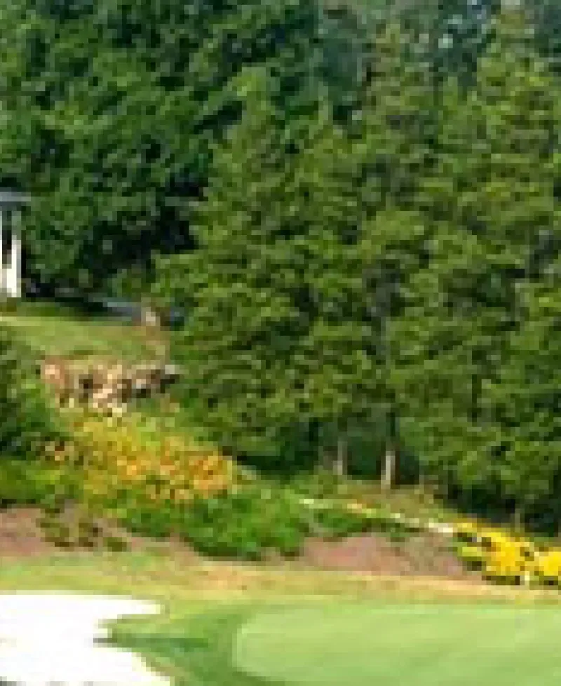 Mount Pleasant Golf Course Photo