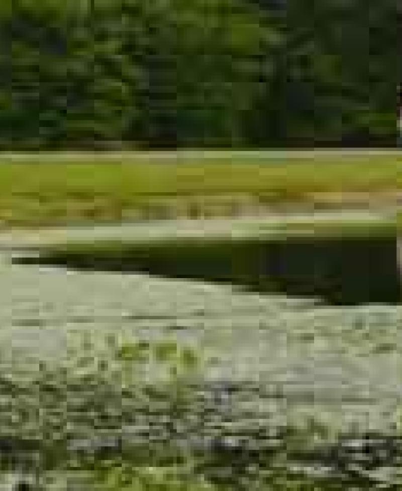 Patuxent Research Refuge National Wildlife Visitor Center Photo